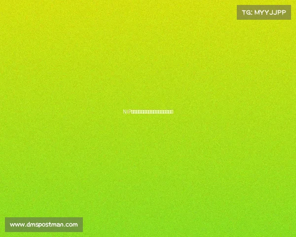 NIP王牌之师整装出击，全新征程即将启幕